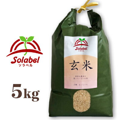 《送料無料》 ソラベル 玄米 5kg 青森県産 品種：まっしぐら（うるち米）［Solabel］【無農薬 無肥料 自然栽培】《あす楽》