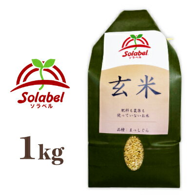 ソラベル 玄米 1kg 青森県産 [Solabel] 品種：まっしぐら（うるち米）【...