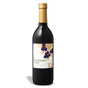 【マラソン限定!最大2000円OFFクーポン配布中!】巨峰ワイナリー ブルーベリーワイン(甘口) 720ml