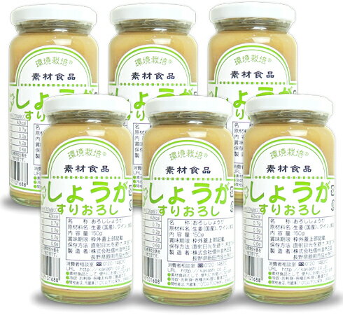 【送料無料】【朝市場直行】静岡県ほか　谷中生姜　葉生姜（はしょうが）1束　約65g～100g　x2個セット【冷蔵】