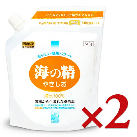 海の精 やきしお スタンドパック 540g × 2袋