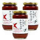 【月初34時間限定！最大2200円OFFクーポン配布中！】キングソース 減塩 トマトケチャップ 300ml × 3個 ケンシヨー