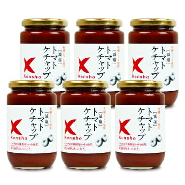 《送料無料》キングソース 減塩 トマトケチャップ 300ml × 6個 ケンシヨー