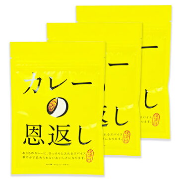 【食フェス24時間限定!特別クーポン配布中】《メール便で送料無料》ほぼ日 カレーの恩返し 40g × 3個