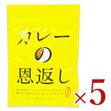 【食フェス24時間限定!特別クーポン配布中】《メール便で送料無料》ほぼ日 カレーの恩返し 40g × 5個