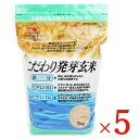 【マラソン限定！最大2000円OFFクーポン】《送料無料》大潟村あきたこまち生産者協会 こだわり発芽玄米 栄養機能食品（鉄分・ビタミンB1・B6強化）1kg × 5袋 ケース販売