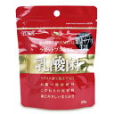 【最大10%OFF!GW限定まとめ買いクーポン配布中!】ジェックス GEX ラビットプレミアム乳酸菌 60粒 ペットフード