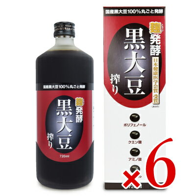 《送料無料》堤酒造 発酵 黒大豆搾り 720ml × 6本 ケース販売