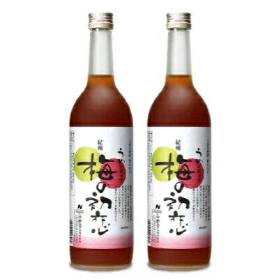 【マラソン限定！最大2000円OFFクーポン配布中】《送料無料》中野BC 梅の初恋 瓶 720ml × 2本のサムネイル