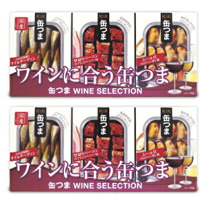 《送料無料》国分 K＆K 缶つま SELECTION ワインに合う缶つま × 2セット 缶つま WINE SELECTION