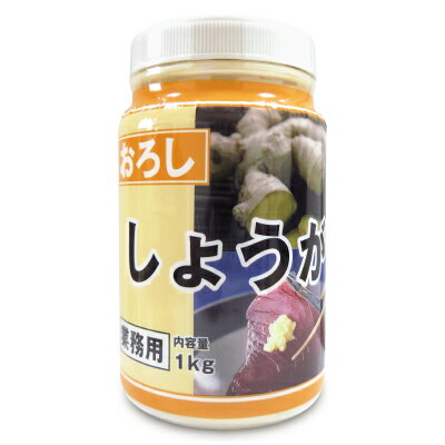 九州ファーム おろししょうが(有塩)1kg《賞味期限2024年6月18日》