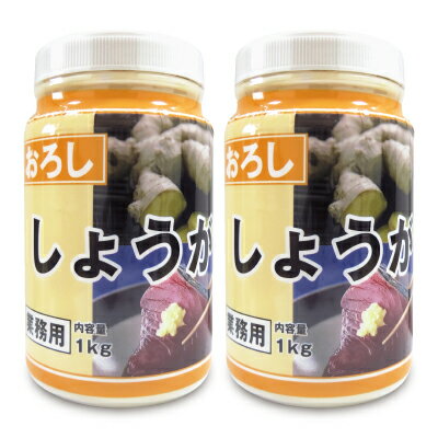 九州ファーム おろししょうが(有塩)1kg × 2個《賞味期限2024年6月18日》