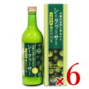 【月初34時間限定！最大2200円OFFクーポン配布中！】《送料無料》 沖縄の自然に育まれたシークヮーサー 沖縄県産 ストレート果汁100％ 500ml × 6本 ［沖縄アロエ］【国産 無添加 ジュース シークワーサー】