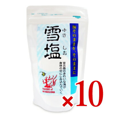 《送料無料》パラダイスプラン 雪塩 120g 10袋