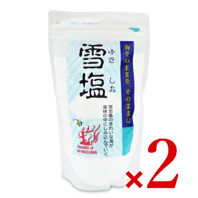 《送料無料》パラダイスプラン 雪塩 250g 2袋