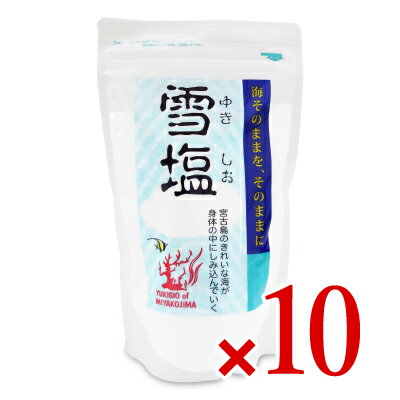 《送料無料》パラダイスプラン 雪塩 250g 10袋