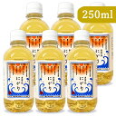 《送料無料》沖縄海塩研究所 粟國のにがり 250ml × 6本