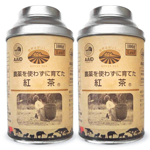 ひしわ 農薬を使わずに育てた紅茶 リーフティー 缶 100g × 2個