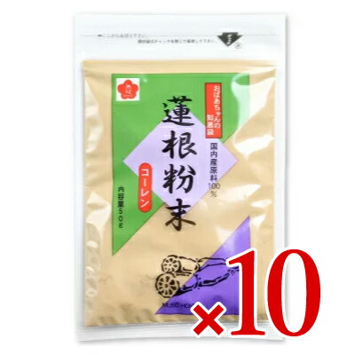 《送料無料》蓮根粉末 コーレン 50g × 10袋 無双本舗