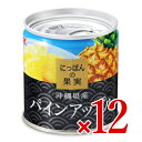 【マラソン限定 最大2200円OFFクーポン配布中 】《送料無料》にっぽんの果実 沖縄県産 パインアップル195g 12個 ケース販売