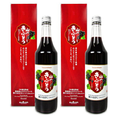 【ブラックフライデー限定!最大2000円OFFクーポン配布中!】《送料無料》佐幸本店 山のきぶどう 果汁100%ストレート 600ml × 2箱