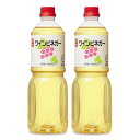 【スーパーSALE限定!最大2000円OFFクーポン配布中!】内堀醸造 ワインビネガー 1000ml × 2本