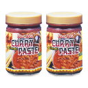 【マラソン限定!最大2000円OFFクーポン配布中!】テーオー食品 カレーペースト 450g × 2個 香辛料 スパイス