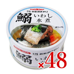 【マラソン限定！最大2200円OFFクーポン配布中】《送料無料》気仙沼ほてい いわし水煮缶 170g×48個 ケース販売