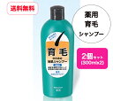 【送料無料・まとめ買い×2】育毛シャンプー x 2個セット《ハツモール》 薬用 スカルプ シャンプー (300mL) 【指定医薬部外品】 男性 女性 プレゼント ギフト 父の日