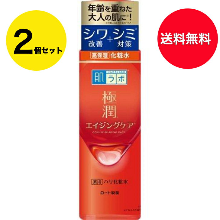 Rakuten - 【送料無料】2個セット エイジングケア 肌ラボ 極潤 薬用ハリ化粧水 170ml ロート製薬 ゴクジュンケショウスイ 170ML
