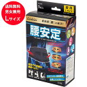 【送料無料 Lサイズ】ケアガード 腰安定 着脱式補助ベルト 1枚入 L 腰 サポーター ベルト 補助ベルト 腰痛