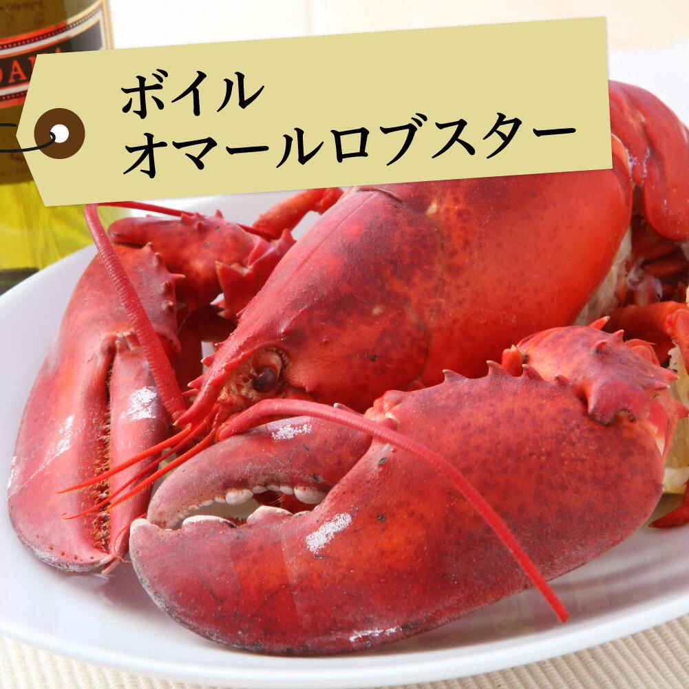 ◆ボイル オマールロブスター（350g）冷凍/カナダ直輸入...