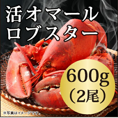 商品画像：ディノス楽天市場店の人気おせち楽天、◆活オマールロブスター（600gx2尾）お買い得/カナダ直輸入/活/オマール 海老/ロブスター/還暦祝い/肉厚/バーベキュー/ パーティー/記念日/テルミドール/スープ/ビスク/新鮮/お歳暮/おせち料理/クリスマス