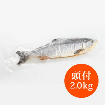 ◆頭付塩紅鮭◆（2.0kg）カナダ直輸入/尾頭付き/ギフト/ご進物/贈り物/パーティー /お祝い/おもてなし料理 /記念日