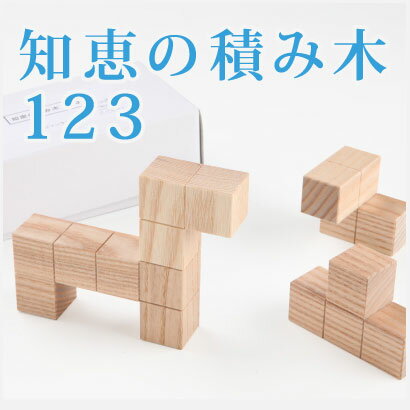 ◆知恵の積み木123幼児〜一般/日本製/天然木/教材/つみき/特別支援向け/手づくり/立体 図形／入学祝/エジソンクラブ