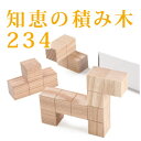◆知恵の積み木234幼児~/日本製/国産 天然木/教材/つみき/特別支援向け/手作り/立体 図形/入学祝/エジソンクラブ