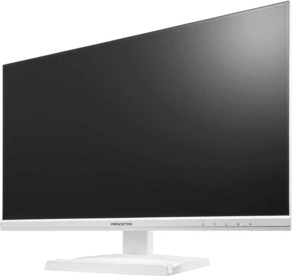 プリンストン [PTF-B241W-WH] 100HzADSパネル採用 23.8型ワイドカラー液晶ディスプレイ