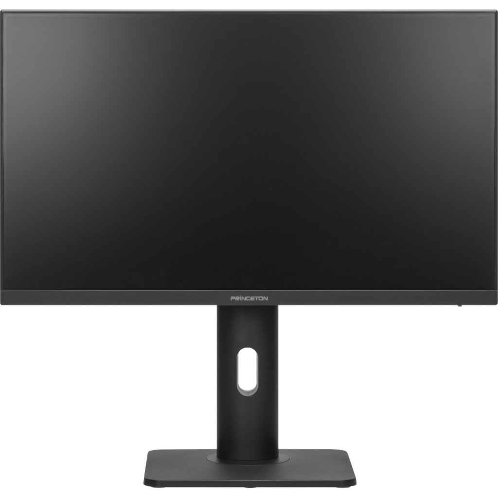 プリンストン [PTF-H241WS-BK] IPS方式パネル採用 USB Type-C搭載 23.8型フルHD液晶ディスプレイ スタンドタイプ