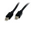 StarTech.com [MDISP2M] Mini DisplayPort 1.2 ֥ 2m 4K / HBR2бߥ˥ǥץ쥤ݡȥ֥ Mini DP() - Mini DP()