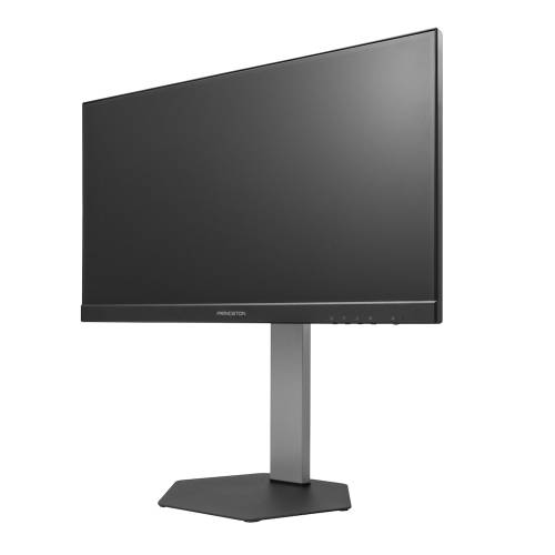 プリンストン [PTF-B221WS-BK] 120HzADSパネル USB Type-C搭載 21.5型フルHD液晶ディスプレイ 多機能スタンドモデル(ブラック)