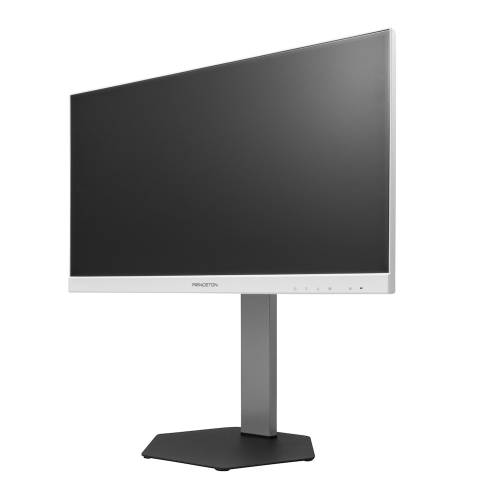 プリンストン [PTF-B221WS-WH] 120HzADSパネル USB Type-C搭載 21.5型フルHD液晶ディスプレイ 多機能スタンドモデル(ホワイト)