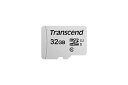 gZh [TS32GUSD300S] 32GB UHS-I U1 microSD w/o Adapter (TLC)