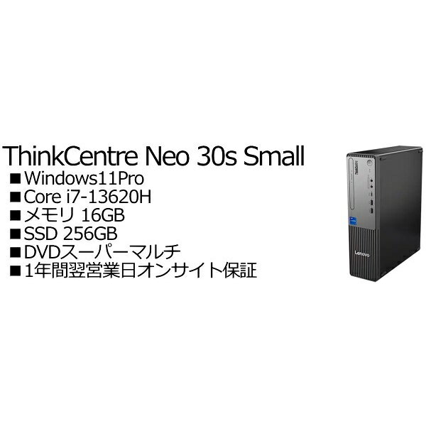 Lenovo 13DGS00300 ThinkCentre neo 30s Small Gen 5