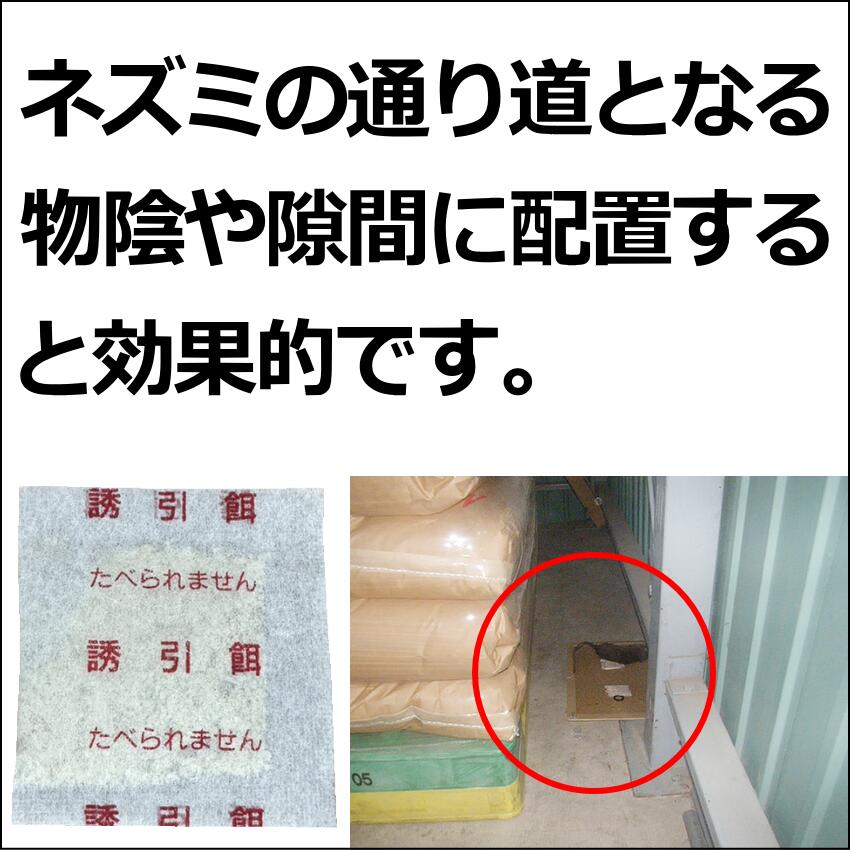 粘着板用ネズミ誘引剤 粘着シート ねずみ 駆除 退治 捕獲 3