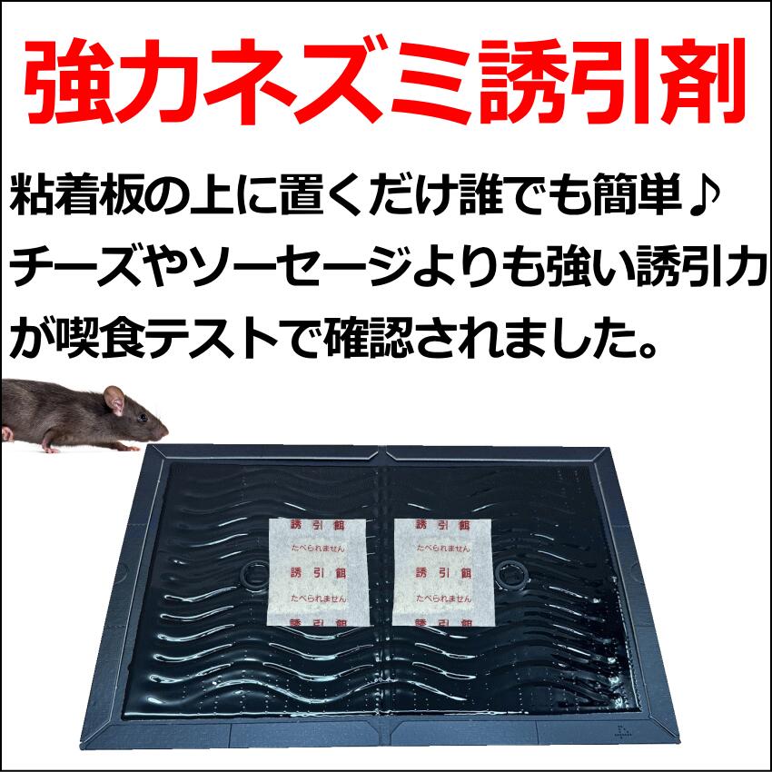 粘着板用ネズミ誘引剤 粘着シート ねずみ 駆除 退治 捕獲 2