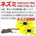 tt-techno:10001695のサンプル画像2