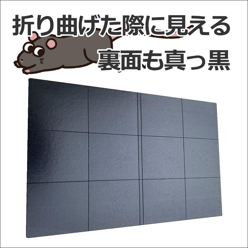 ��̳�ѥͥ���Ǵ�奷���ȥץ��ܡ���L99ξ�̹� �ͤ��߶�� ��ʹ� �༣ ������Х�