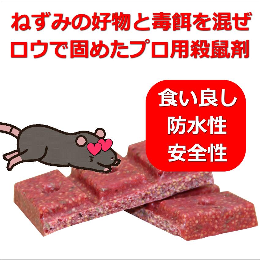 ��꡼�֥��å� �ɿ巿���ͺ� �ͥ��߶�� ���ͺ�