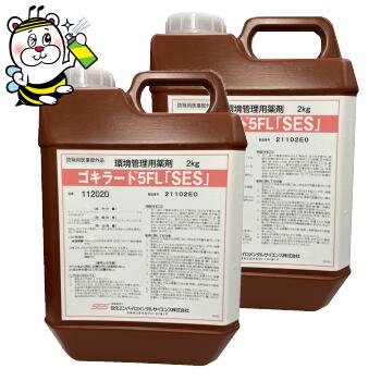 【送料込・まとめ買い×10個セット】アース製薬 スズメバチ マグナムジェットプロ 550ml