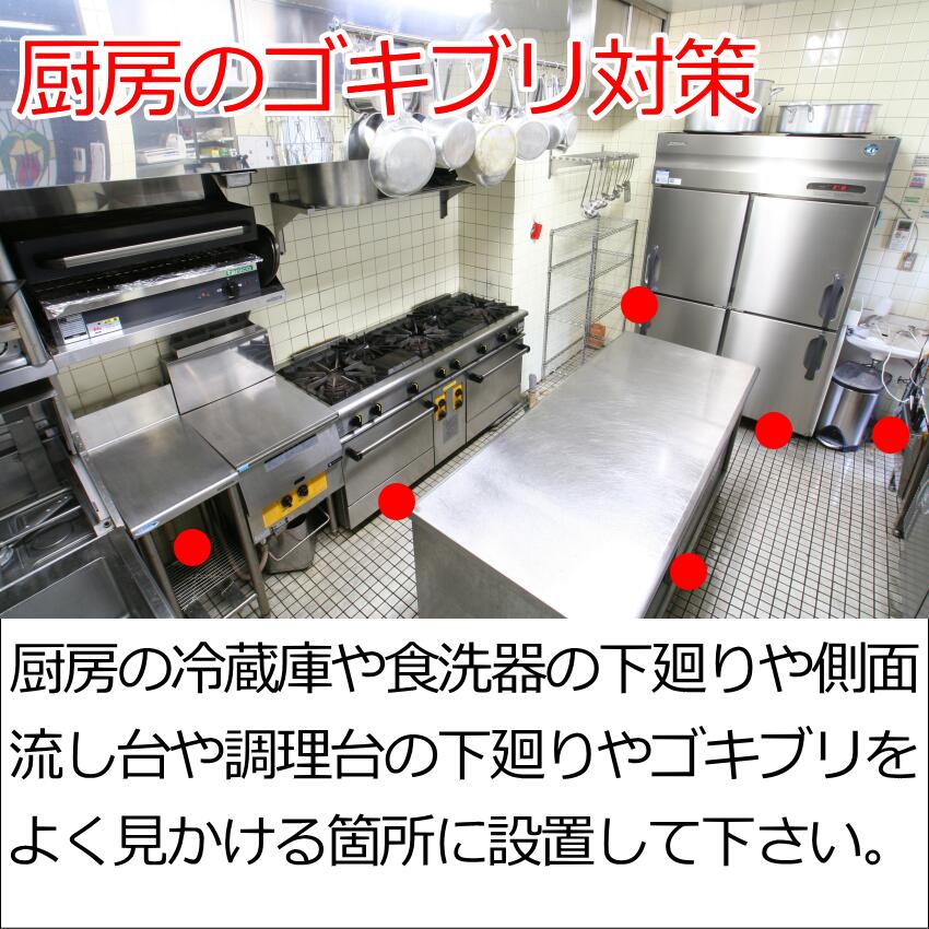 【シマダ商事】ゴキプロハーフ 1箱（25枚入）